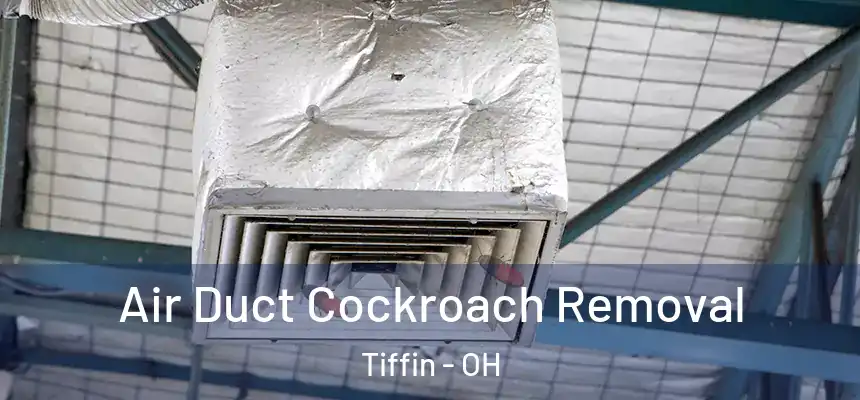  Air Duct Cockroach Removal Tiffin - OH
