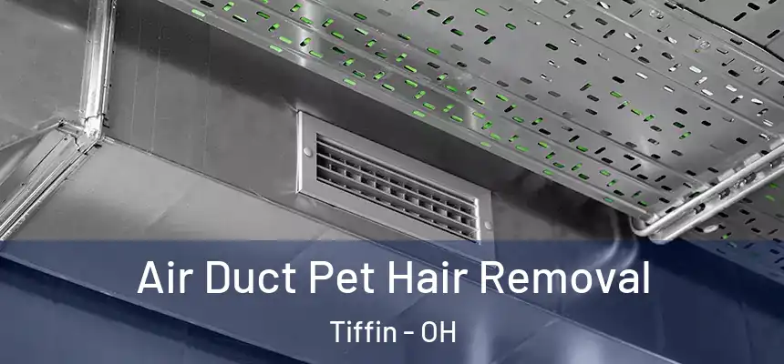  Air Duct Pet Hair Removal Tiffin - OH