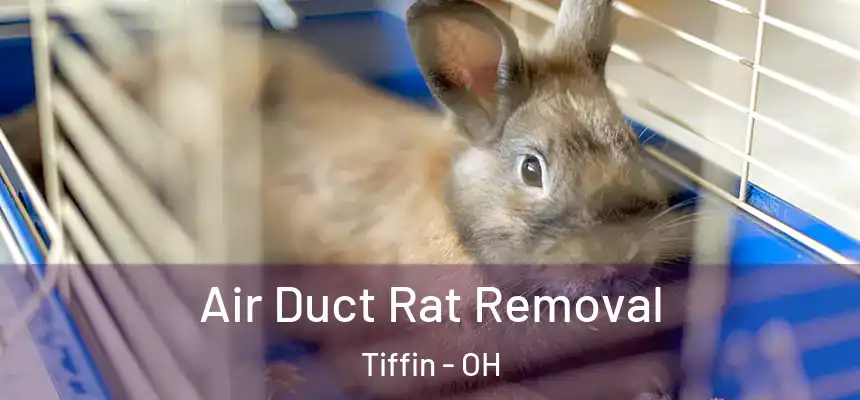  Air Duct Rat Removal Tiffin - OH