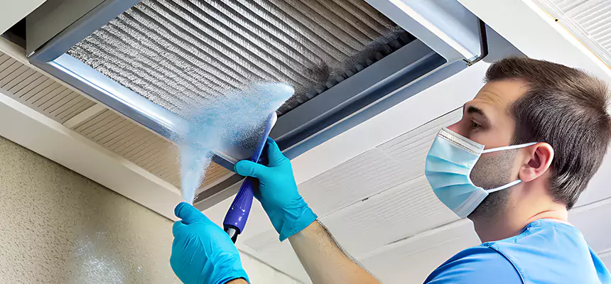 Proactive Dryer Vent & Auxiliary Duct Pollen Cleanup in Tiffin, OH