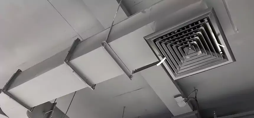 Restorative Allergy Relief Vent Cleaning – Coil, Blower & Housing Detail in Tiffin