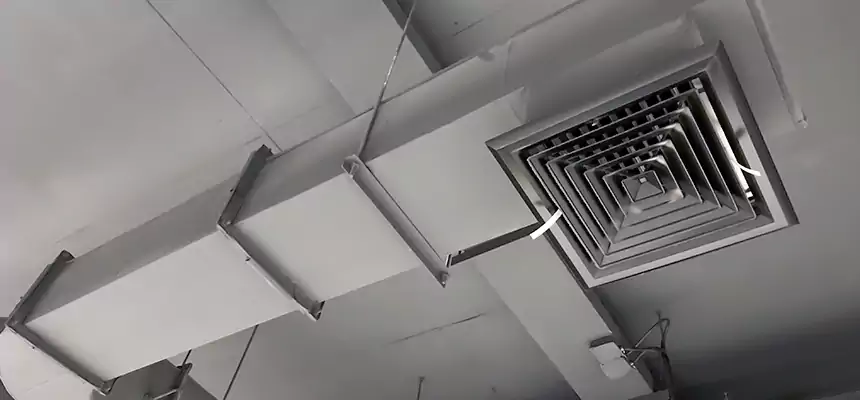 Our Pest Removal From Ducts Services in Tiffin, OH