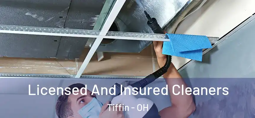  Licensed And Insured Cleaners Tiffin - OH