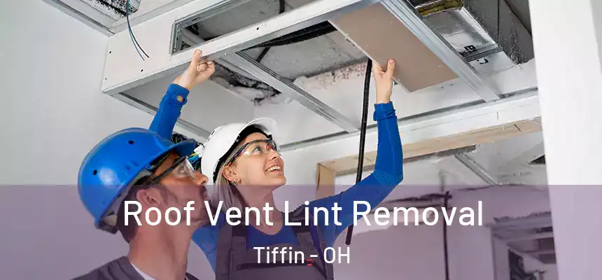  Roof Vent Lint Removal Tiffin - OH