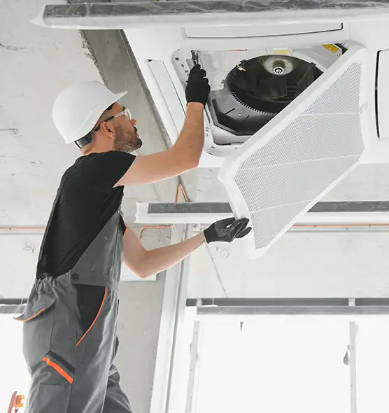 About Air Duct Rodent Removal in Tiffin, OH