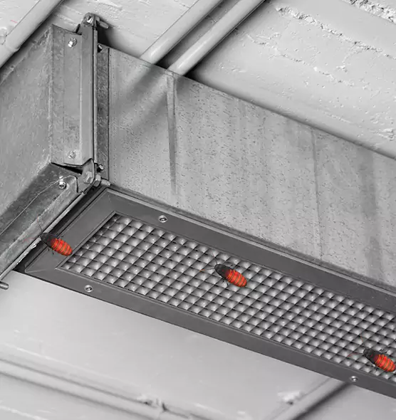 Affordable Insect Removal from Air Ducts in Tiffin, OH