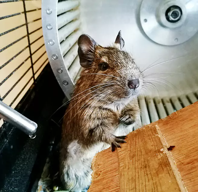 Why Homeowners & Businesses Trust Us Tiffin, OH?